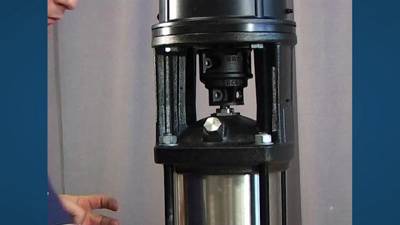 グルフォース　15ポンド キュボイドパワーオールフィット – BMZ公式